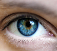 stacks_image_AD6D9E45-E37F-4386-9023-D7C7E2FA4E25